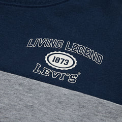 Retro Sport Tee Big Boys 8-20 - Heather Gray