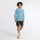 Big Boys Long Sleeve Batwing Crewneck - Blue