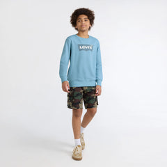 Big Boys Long Sleeve Batwing Crewneck - Blue