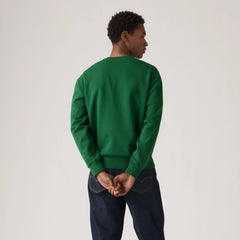 Relaxed Graphic Crewneck Sweatshirt - Eden - Green