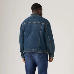Trucker Jacket (Big) - Colusa - Medium Wash