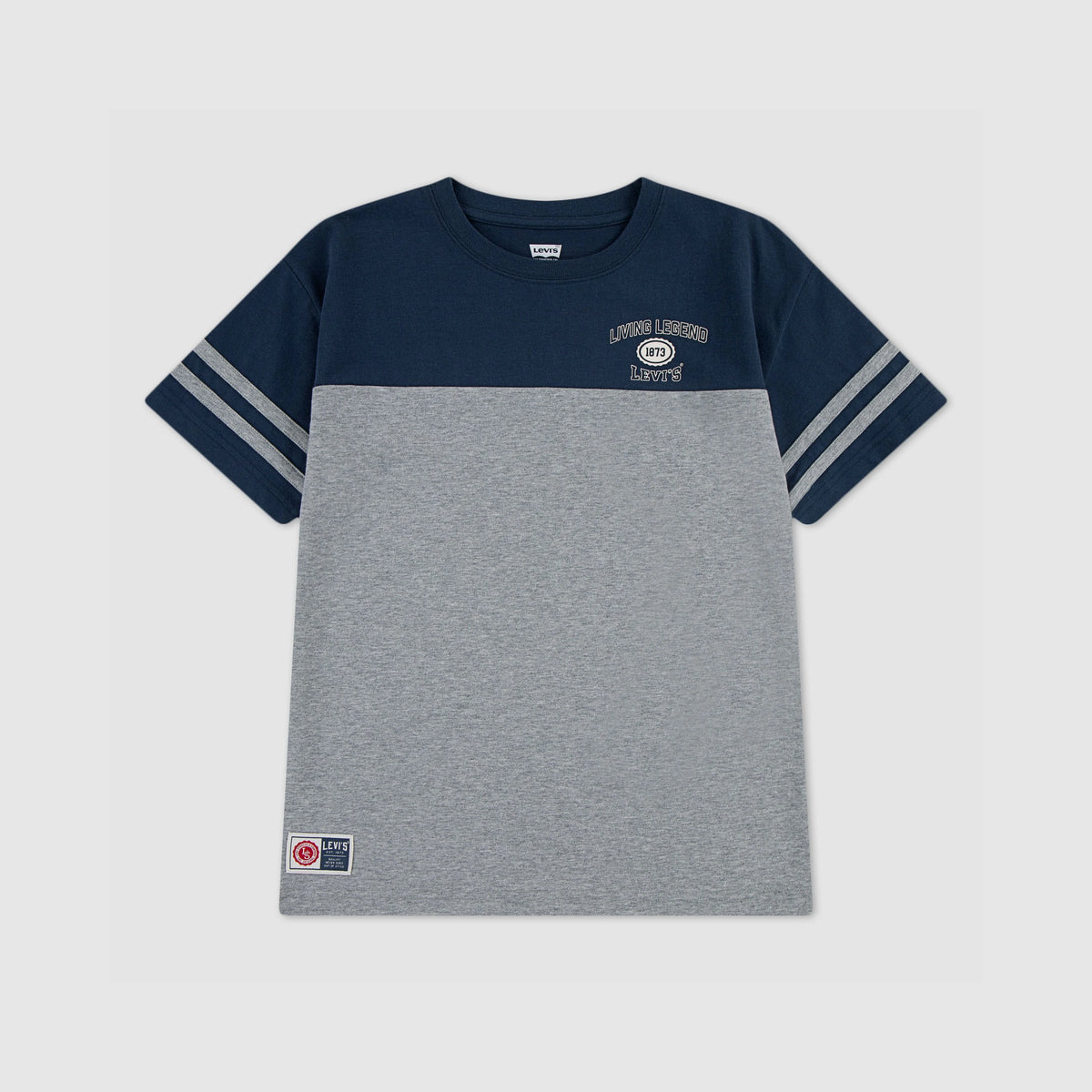 Retro Sport Tee Big Boys 8-20 - Heather Gray